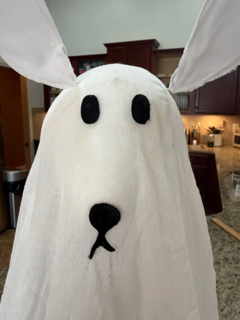 Pottery Barn Lit Ghost Dog